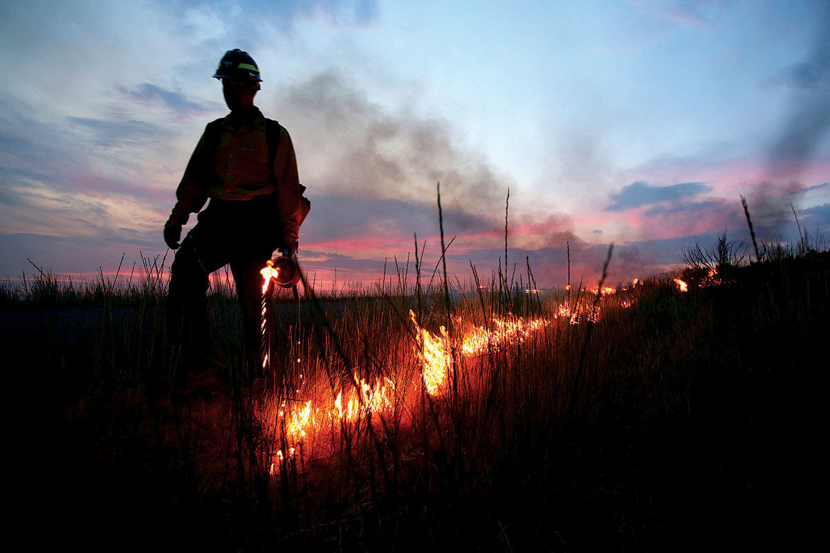 The fire problem